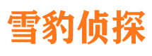 延安婚外情调查取证